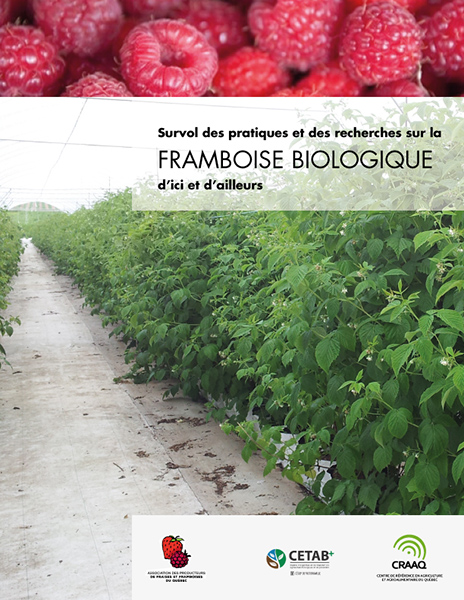Survol des pratiques et des recherches sur la framboise biologique d’ici et d’ailleurs (PDF)