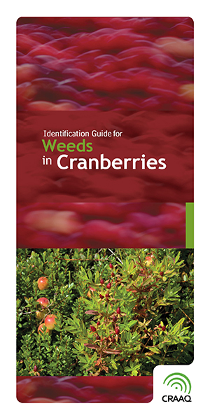 Identification Guide for Weeds in Cranberries (PDF)