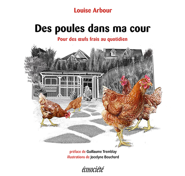 Des poules dans ma cour