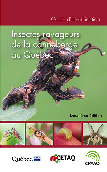 Guide d'identification des insectes ravageurs de la canneberge (2e édition)