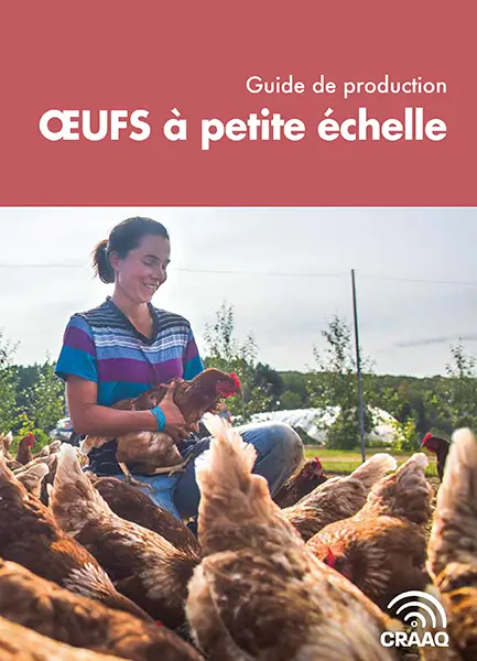Guide de production : Oeufs à petite échelle