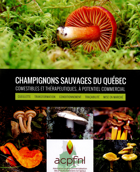 Champignons sauvages du Québec comestibles et thérapeutiques, à potentiel commercial