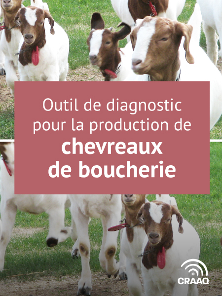 Outil de diagnostic pour la production de chevreaux de boucherie (Excel)