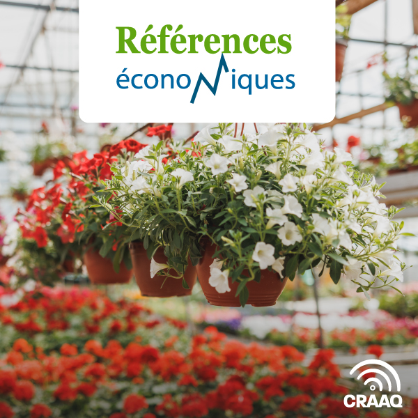 Paniers suspendus (25 cm) - Budget - 2023