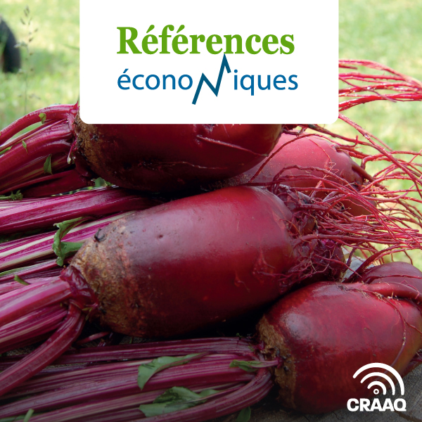 Betterave - Budget - Légumes en terre minérale - 2024