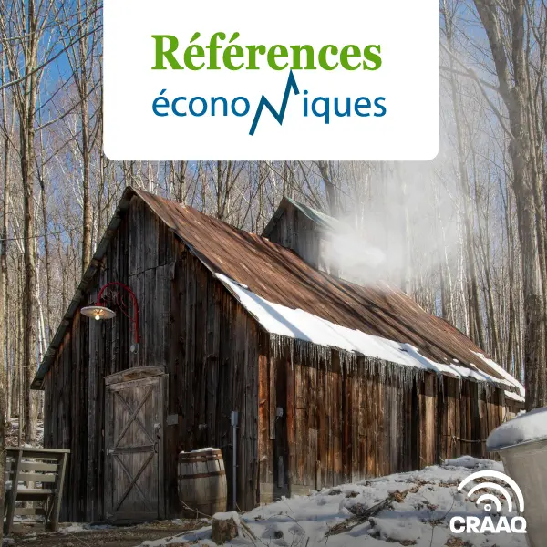 Érablière - 3 000 entailles - Évaporateur au bois - Budget - 2016