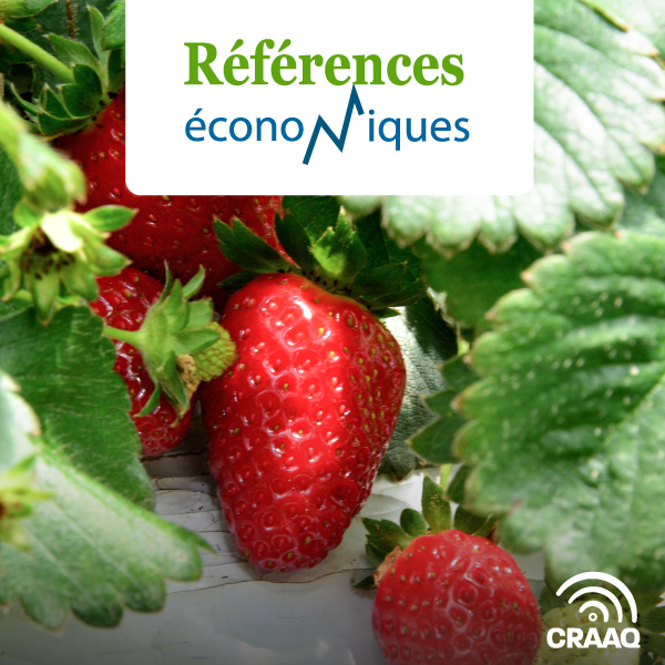 Fraises d'été standard (en rangs nattés) - Budget - 2014 