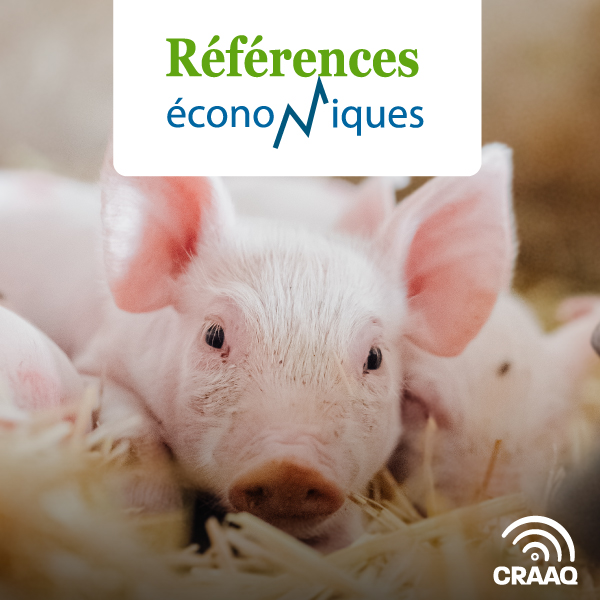 Porcherie - Coûts de construction - 2023