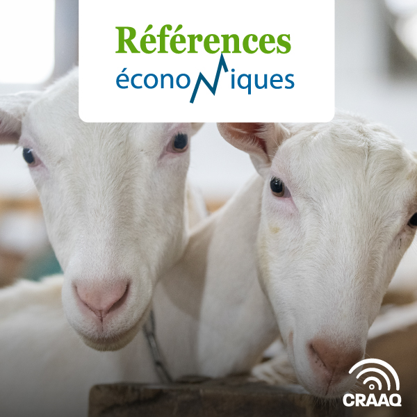 Brebis laitière - Budget production laitière - Système - Début de la traite à l'agnelage - 2020