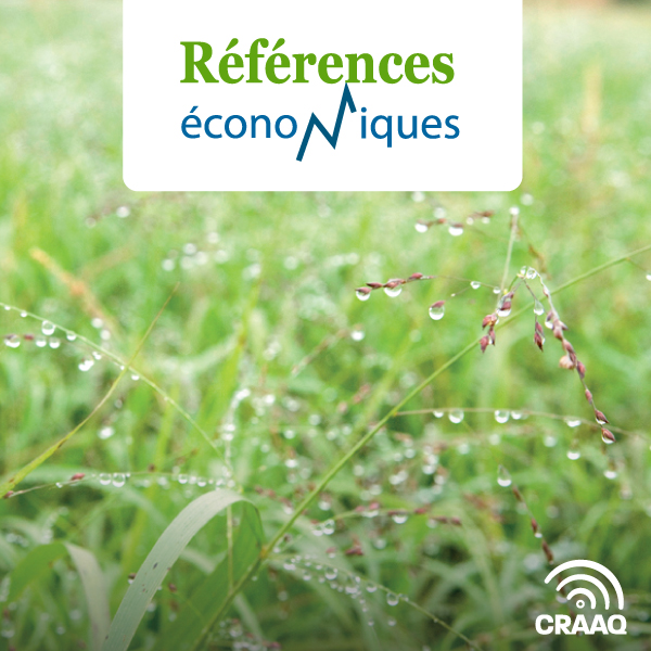 Panic érigé - Budget à l'hectare - 2023