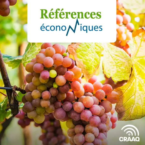 Vignes vinifera protégées - Budget - Production de raisin - 2019