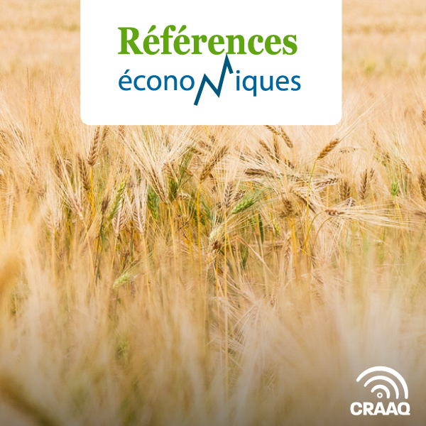 Seigle - Analyse comparative provinciale 2023 - Analyse de données AGRITEL - 2025