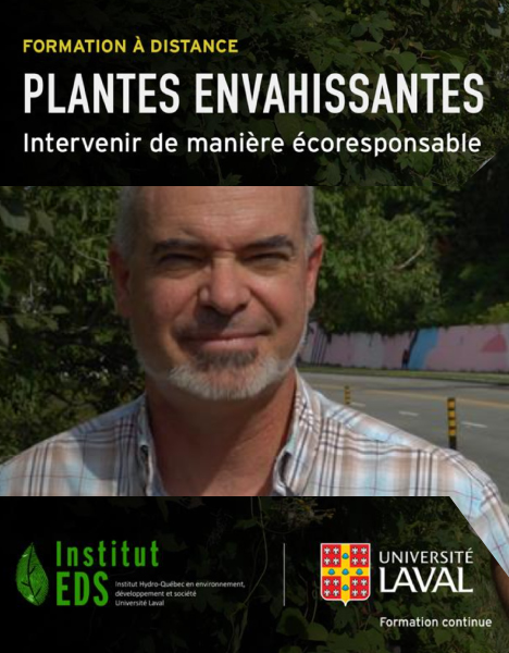 Formation à distance - Plantes envahissantes : intervenir de manière écoresponsable