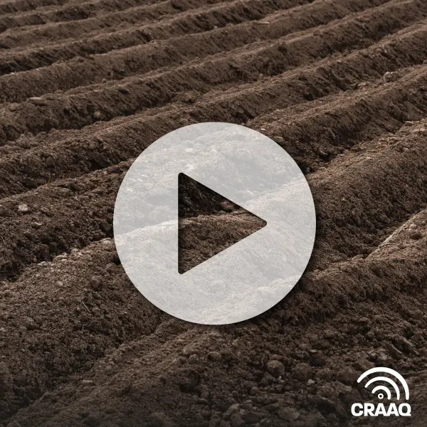 TOUT vient du sol! (VF)