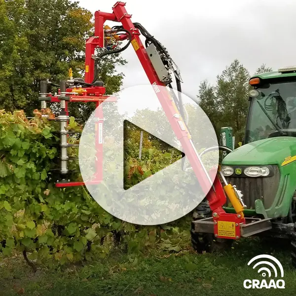 La mécanisation des opérations dans les vignobles québécois (7 vidéos - collection)