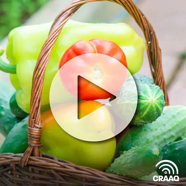 Le maraîchage diversifié en serre : tomate, concombre, poivron (4 vidéos)