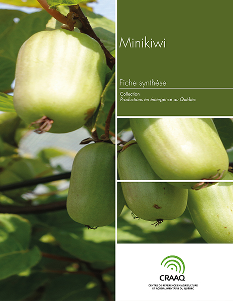 Fiche synthèse - Minikiwi (PDF)