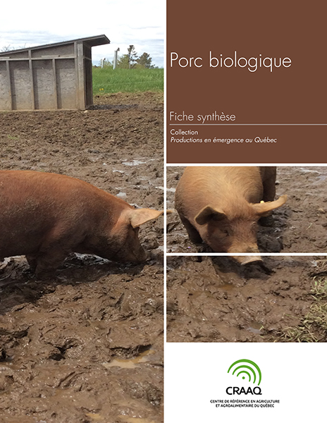 Fiche synthèse - Porc biologique (PDF)