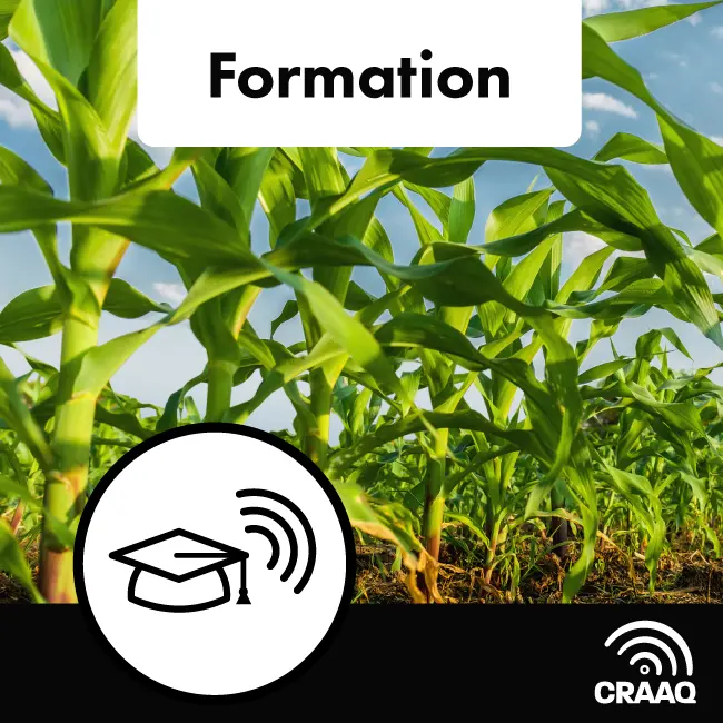 Formation - Gestion intégrée des mauvaises herbes