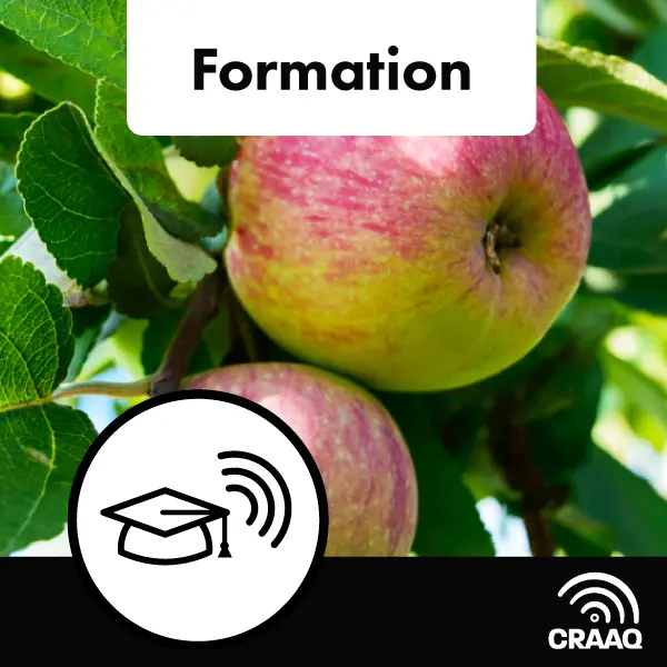 Formation en pomiculture