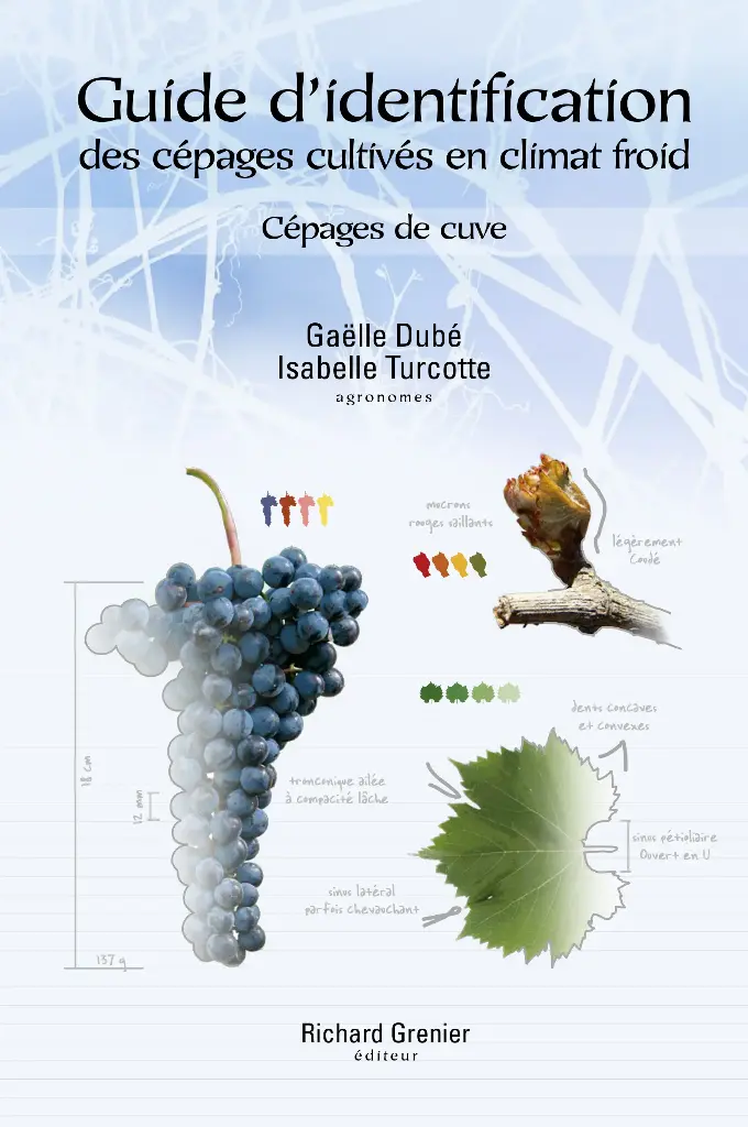 Guide d'identification des cépages cultivés en climat froid - Cépages de cuve (PDF)