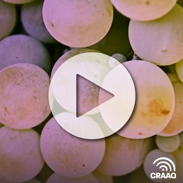 Des approches post-récoltes pour améliorer la qualité et le potentiel aromatique des moûts de cépages blancs