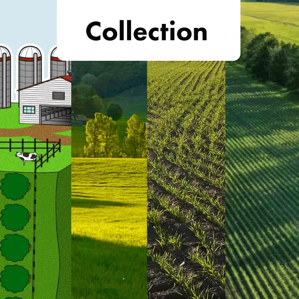 Fiches : Bilan carbone d’une ferme (collection de 4 fiches) (PDF) 