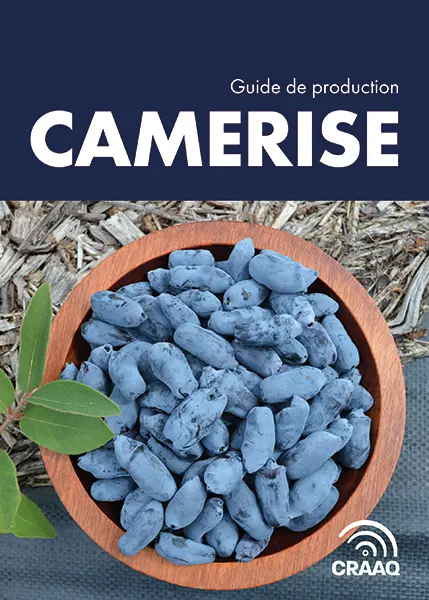 Guide de production : Camerise (PDF)