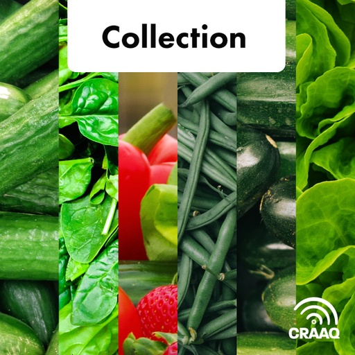 [PCUA0109-C01PDF]  Collection fiches techniques en serre - Concombres, courgettes/zucchinis, épinards, haricots, laitues (PDF)