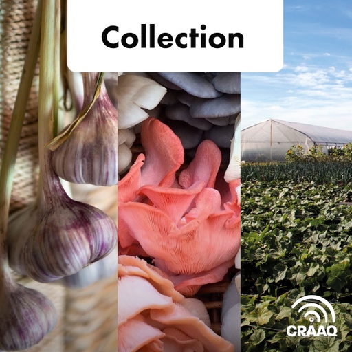 [PERA0102-C06PDF assemblage trois pdf] Fiches synthèses - Collection Légumes (PDF)