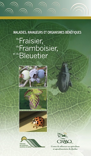 [PPTF0014] Maladies, ravageurs et organismes bénéfiques du fraisier, du framboisier et du bleuetier
