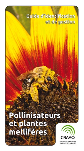 [PAPI0102] Guide d'identification et de gestion - Pollinisateurs et plantes mellifères