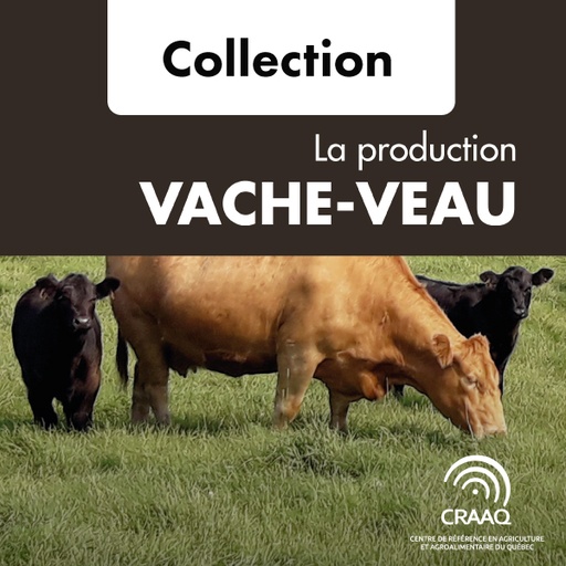 [PBBO0102 collection papier] La production vache-veau, 3e édition