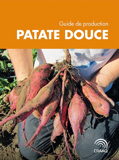 [PLEG0103] Guide de production - Patate douce