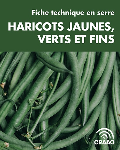 [PCUA0109-04PDF] Fiche technique en serre - Haricots jaunes, verts et fins (PDF)