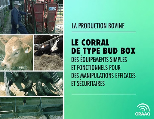 [PBBO0110-PDF plus une vidéo] Le corral de type Bud Box - des équipements simples et fonctionnels pour des manipulations efficaces et sécuritaires (PDF)