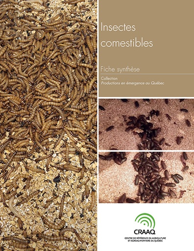 [PERA0102-13PDF] Fiche synthèse - Insectes comestibles (PDF)