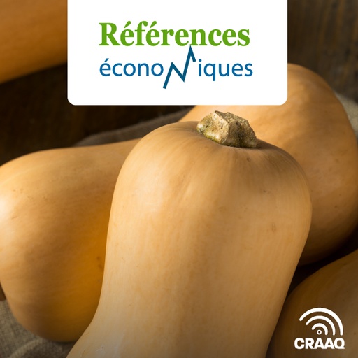 [PREF0153] Courge Butternut semée - Budget à l'hectare - Légumes en terre minérale - 2023