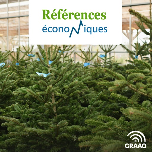 [PREF0208] Arbres de Noël - Budget d'entreprise -  2012 révision 2016 
