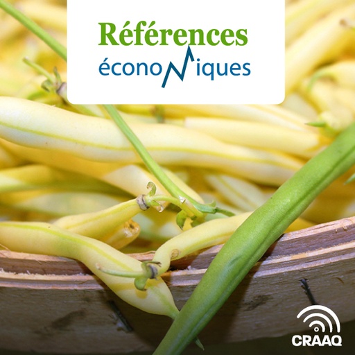 [PREF0355] Haricots frais - Récolte manuelle - Budget à l'hectare - 2024 