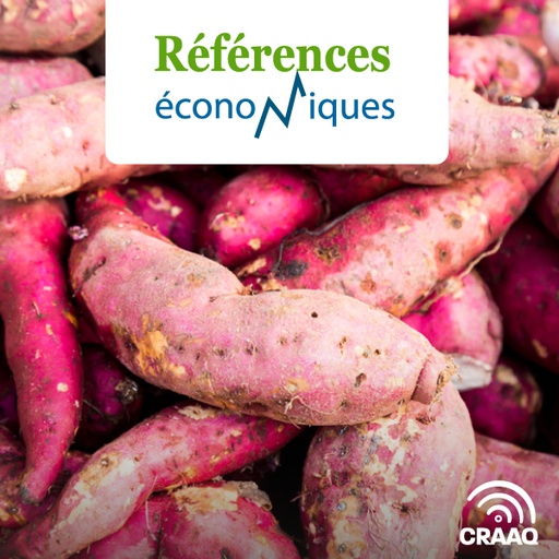 [PREF0411] Patate douce - Budget à l'hectare - Légumes en terre minérale - Paillis plastique - 2018 