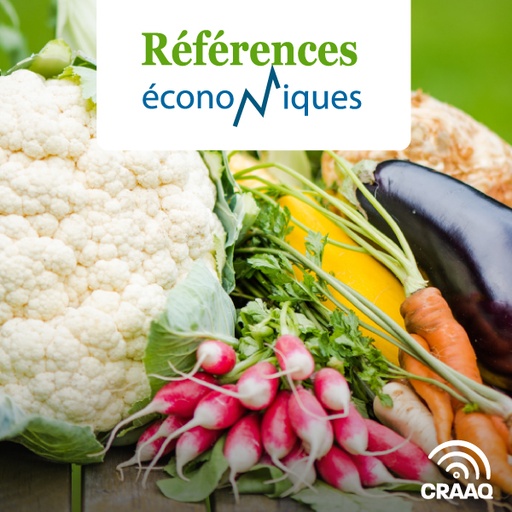 [PREF0425] Carotte, légume en terre noire - Budget à l'hectare