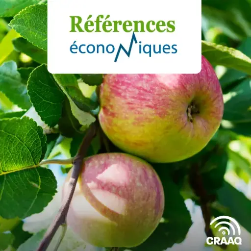 [PREF0435] Pommes - Ventes aux emballeurs - Budget d'entreprise - 2025