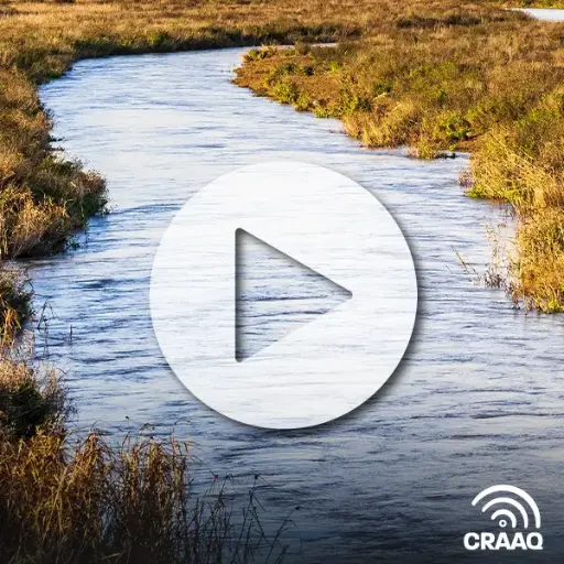 [PVIN0101] Vidéo liée aux aspects agronomiques en relation avec le Règlement sur le prélèvement des eaux et leur protection (RPEP)