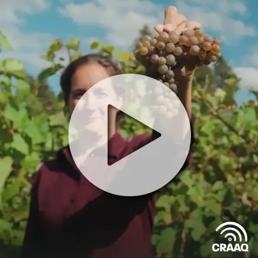 [PVEX-C006] Formation Maître viticulteur