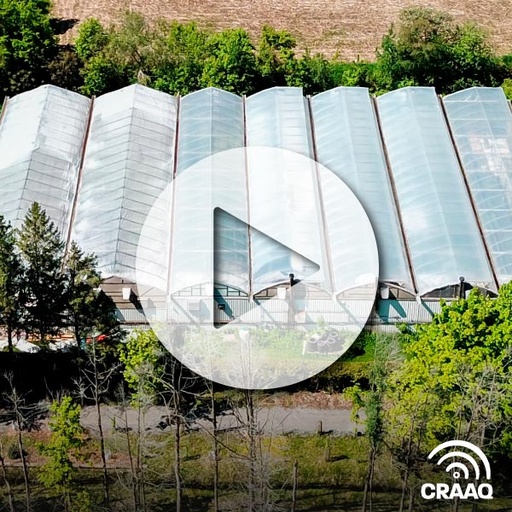 [PVIN0252] Portrait de la serriculture maraîchère québécoise