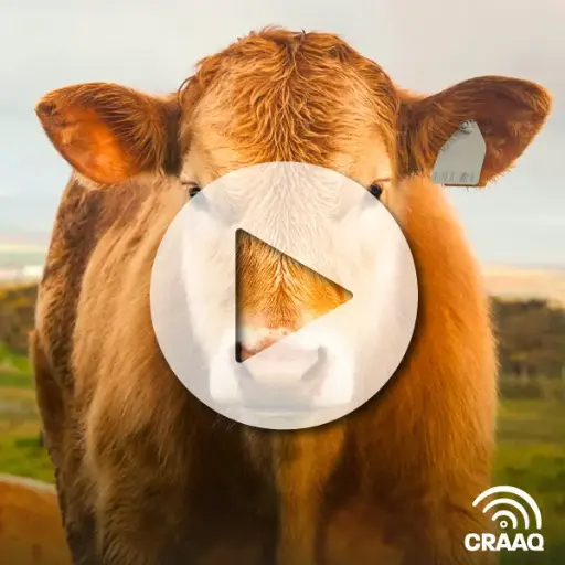 [PVIN0255] Principes de génomique en production bovine