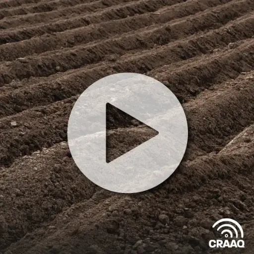 [PVIN0278] TOUT vient du sol! (VOA)