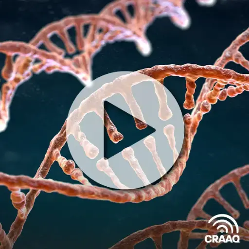 [PVIN0308] Stratégies génétiques modernes et rentables