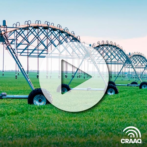 [PVIN0322] Irrigation de précision et gestion intégrée de l'eau en production de pommes de terre
